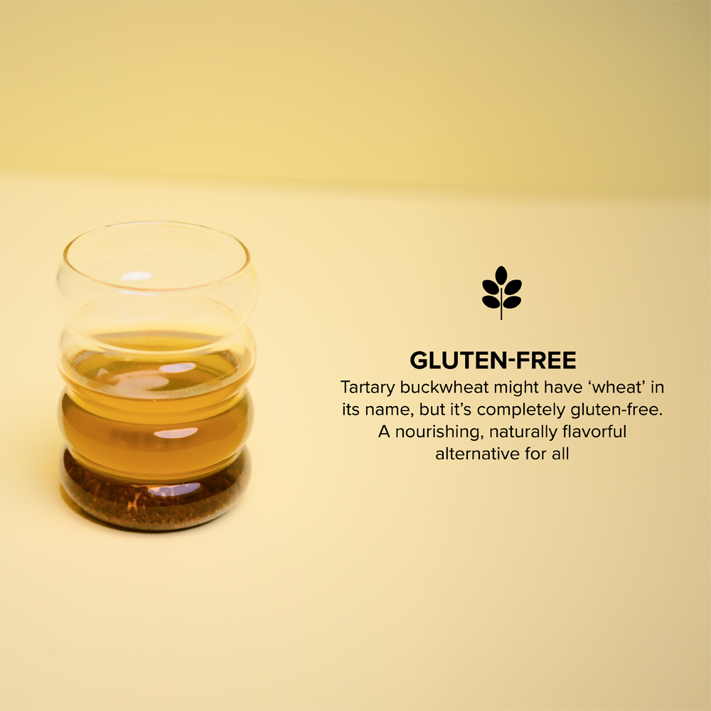 Sobba Ginger - Imagem 4