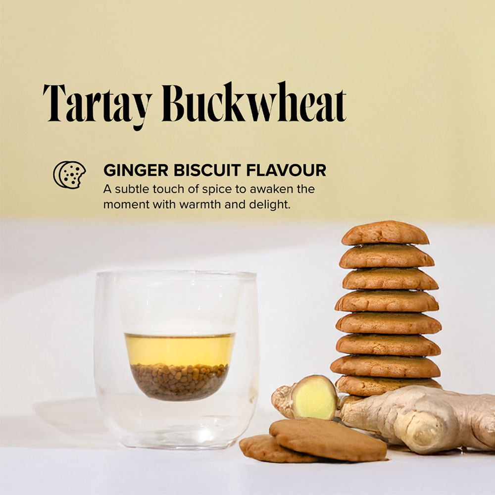 Sobba Ginger - Imagem 3