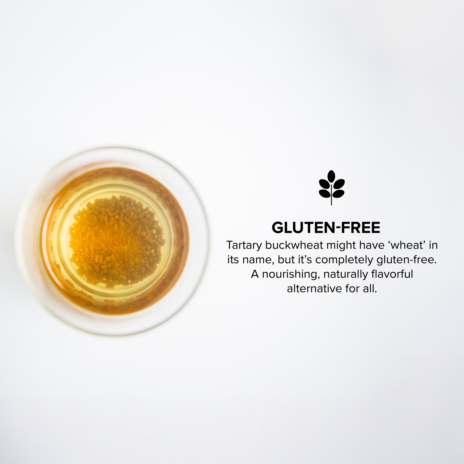 Sobba Original - Imagem 4