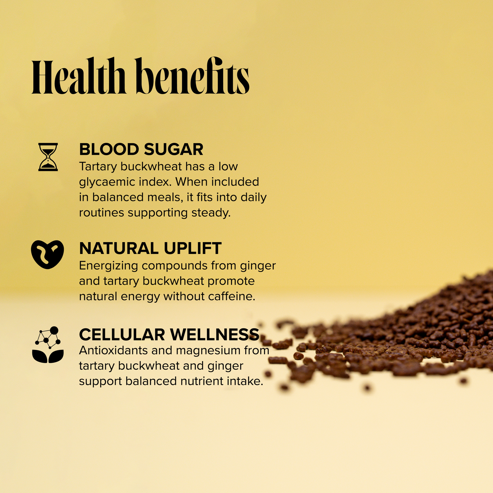 Sobba Ginger - Imagem 2